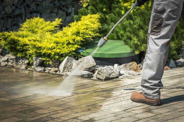 Best Fence Cleaning and Maintenance in Ranlo, NC